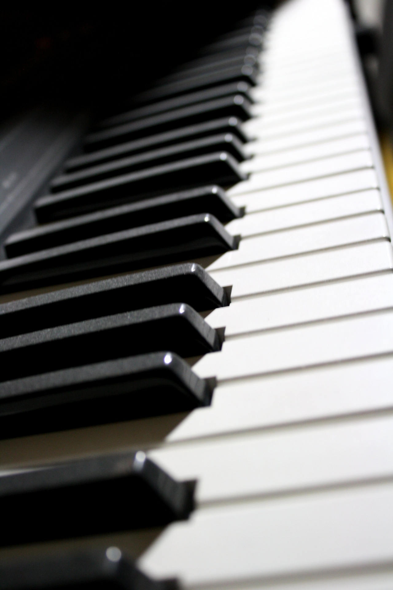 musical composer musician free photo