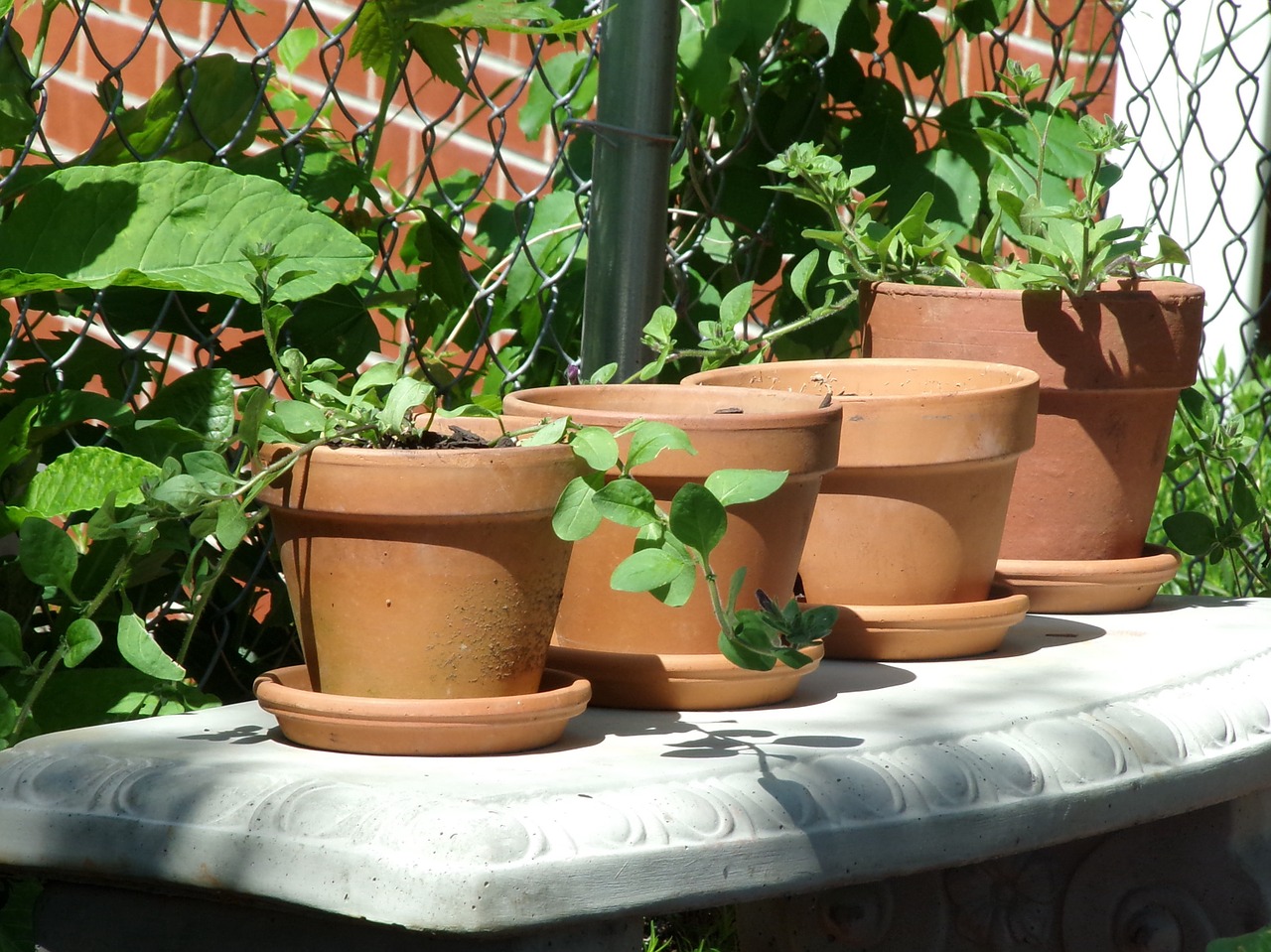 clay pots pottery free photo