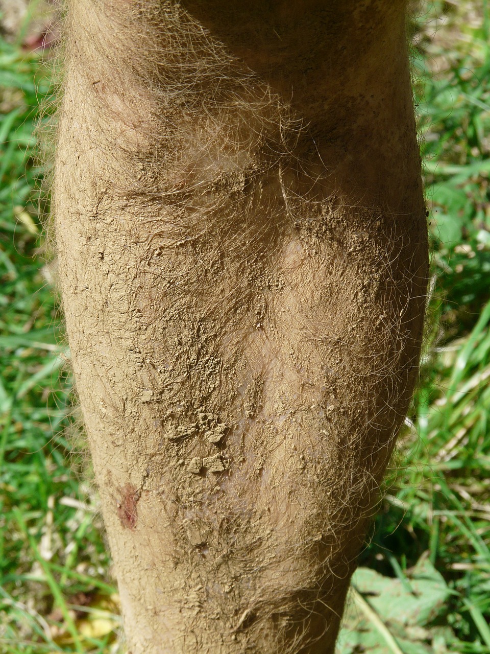 clay bread crumbs lump of dirt legs free photo