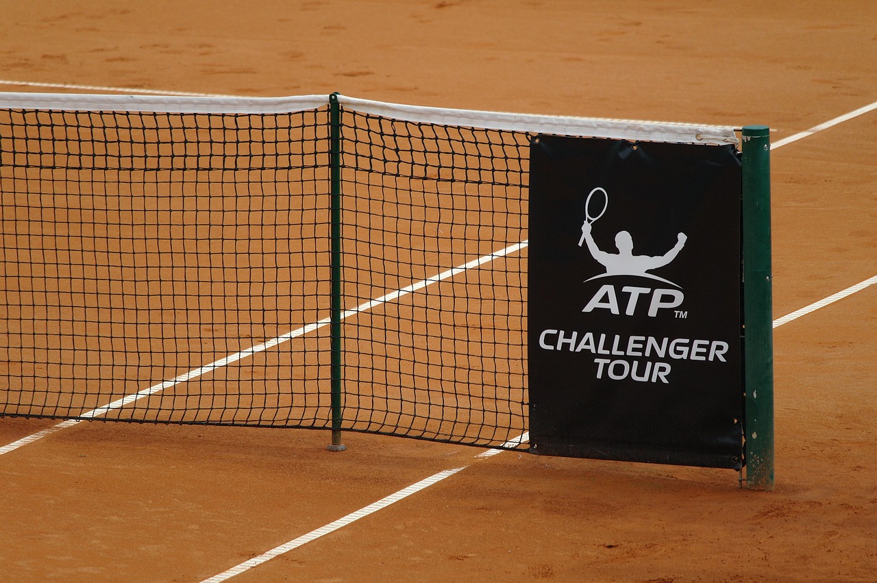 clay court tennis court net free photo