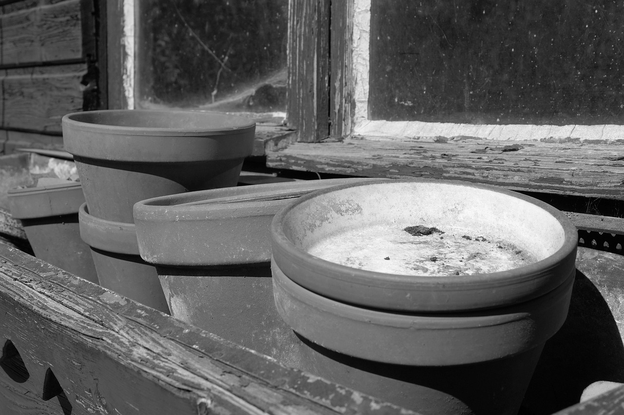clay pots sound flower pots free photo