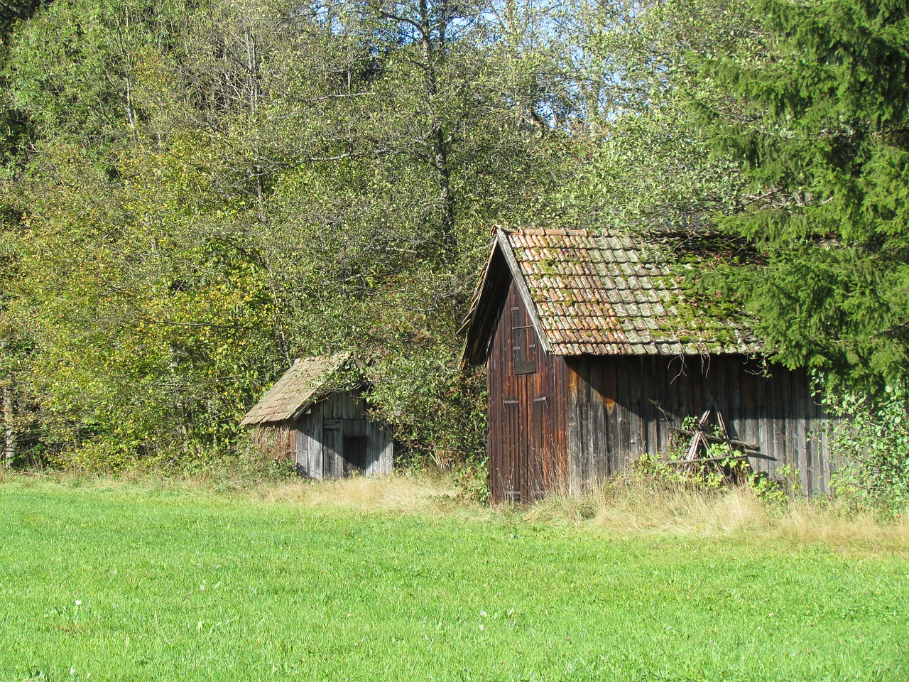 clay valley black forest hut free photo