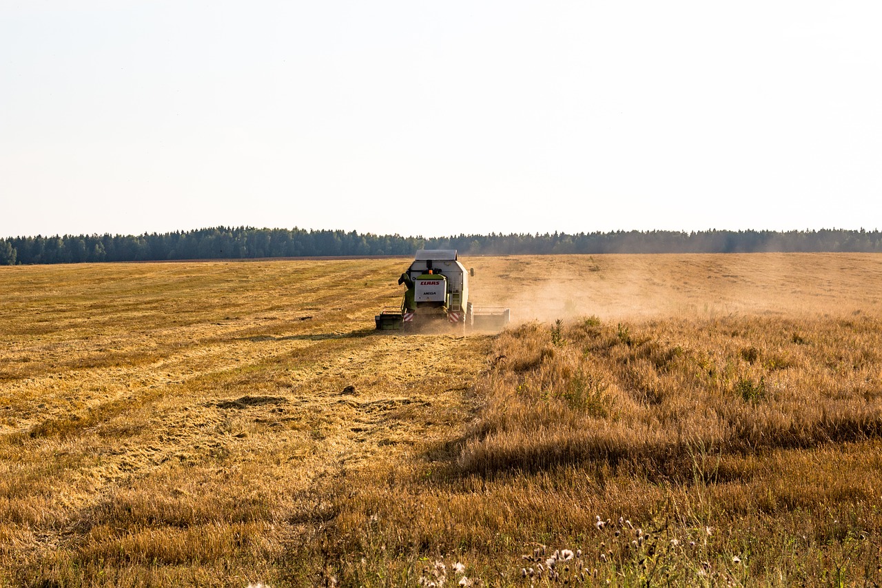 cleaning harvest rural free photo