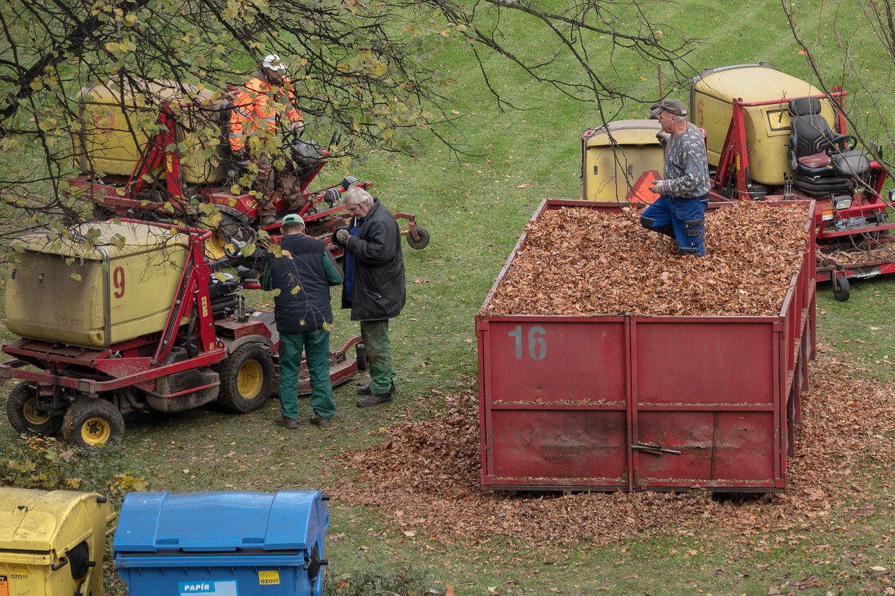 cleaning  leaves  autumnal free photo