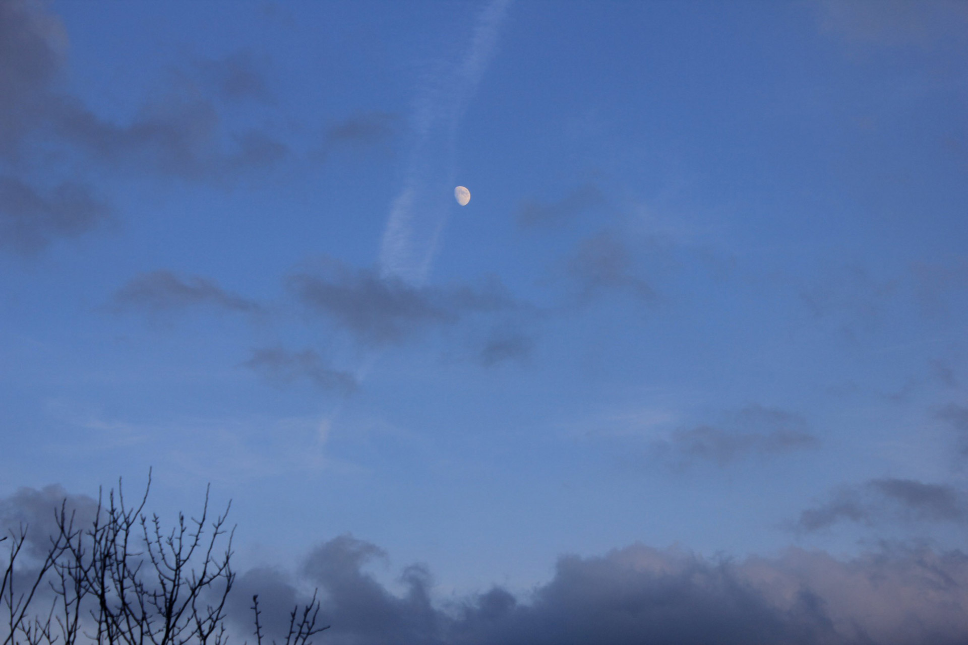 Night,sky,moon,clouds,clear night sky with half-moon - free image from