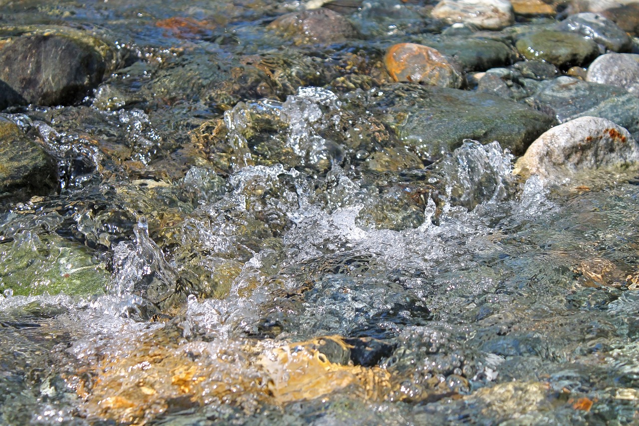 clear water creek water free photo