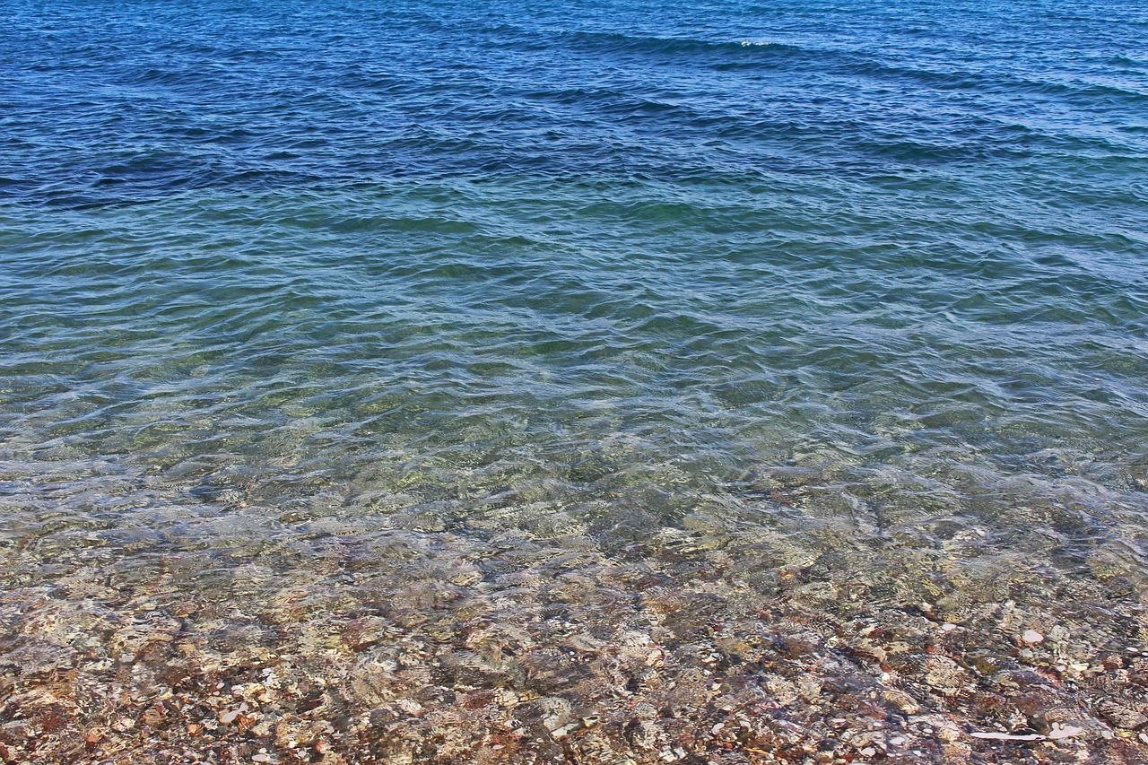 clear water  crystal clear water  ocean free photo