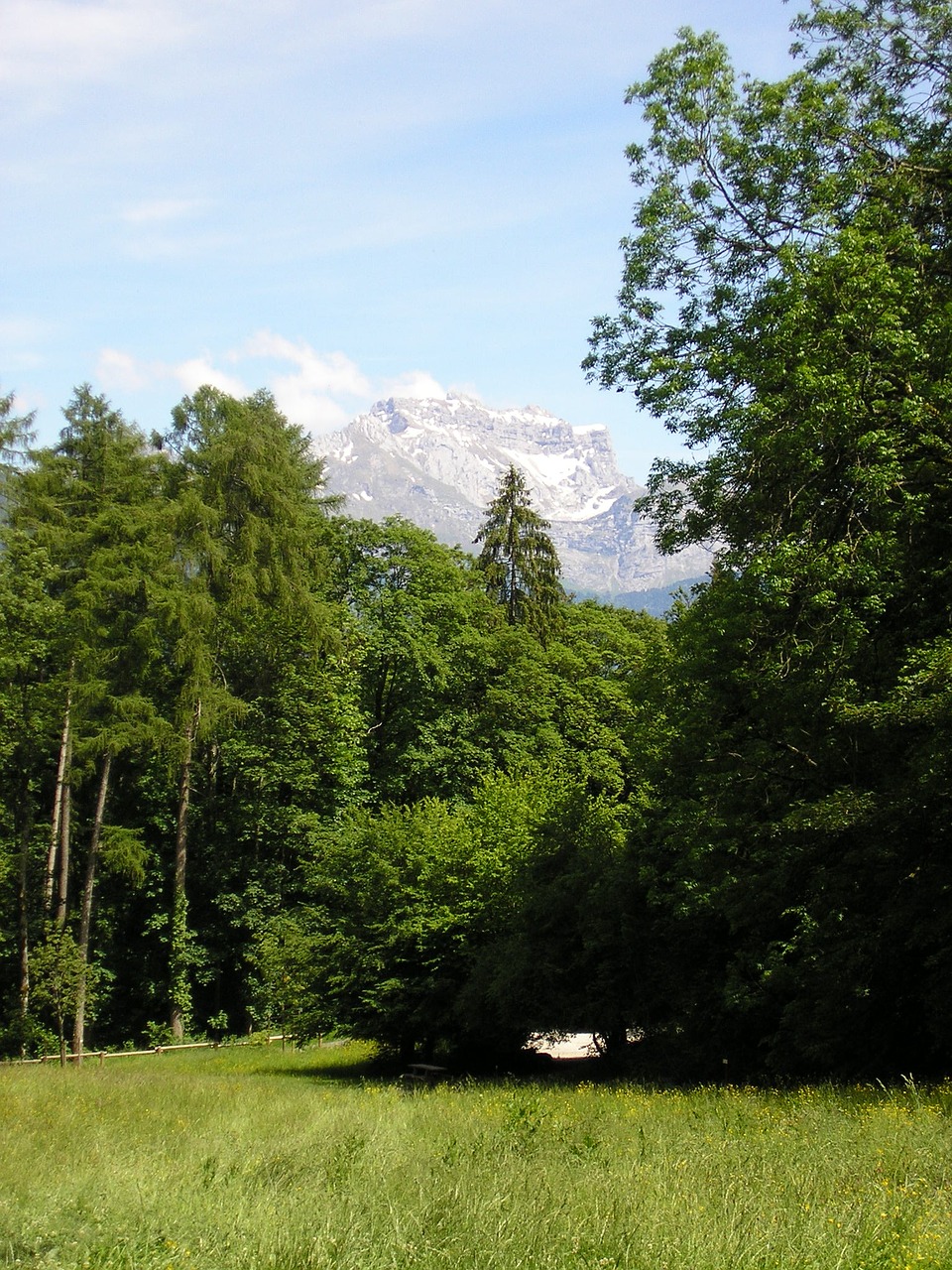 clearing end of the lake haute-savoie free photo