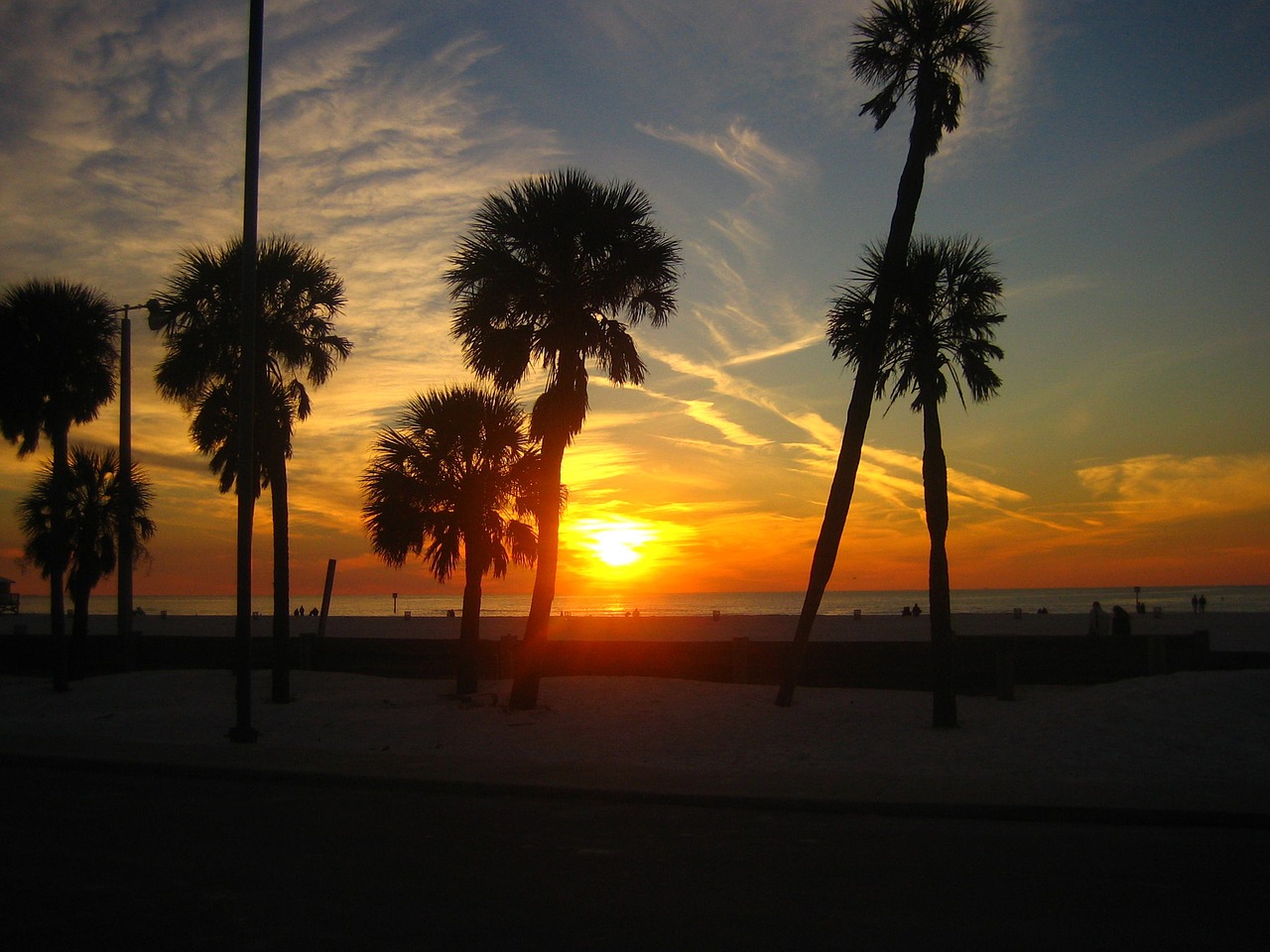 clearwater beach sunset island free photo