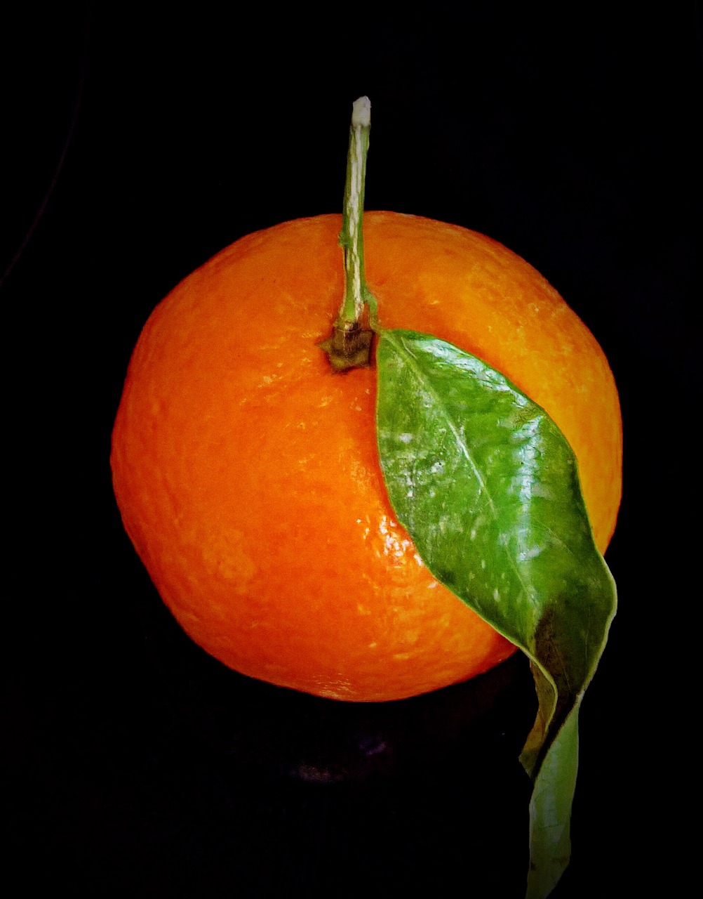 clementine fruit citrus fruit free photo