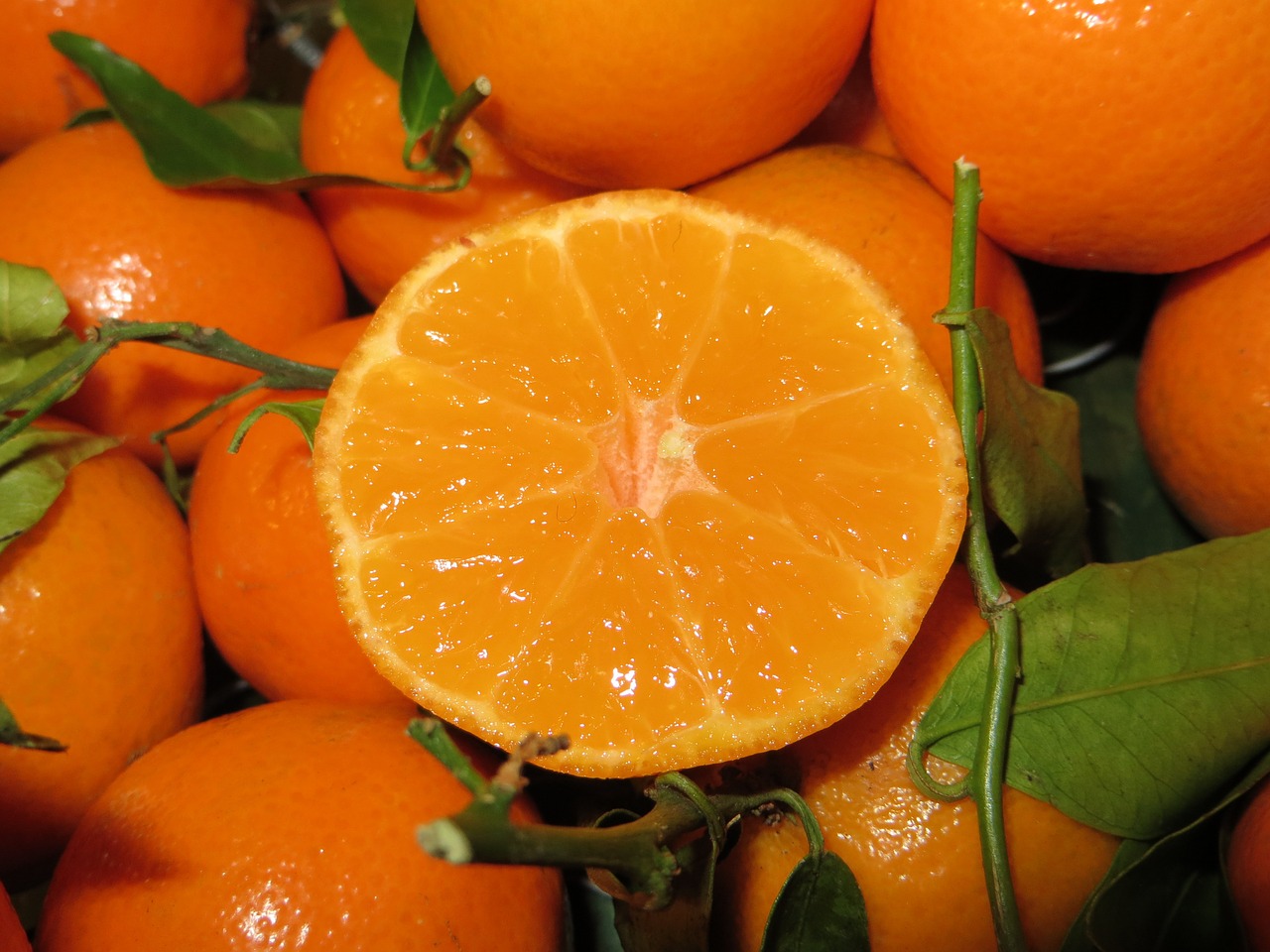 clementines mandarins citrus free photo
