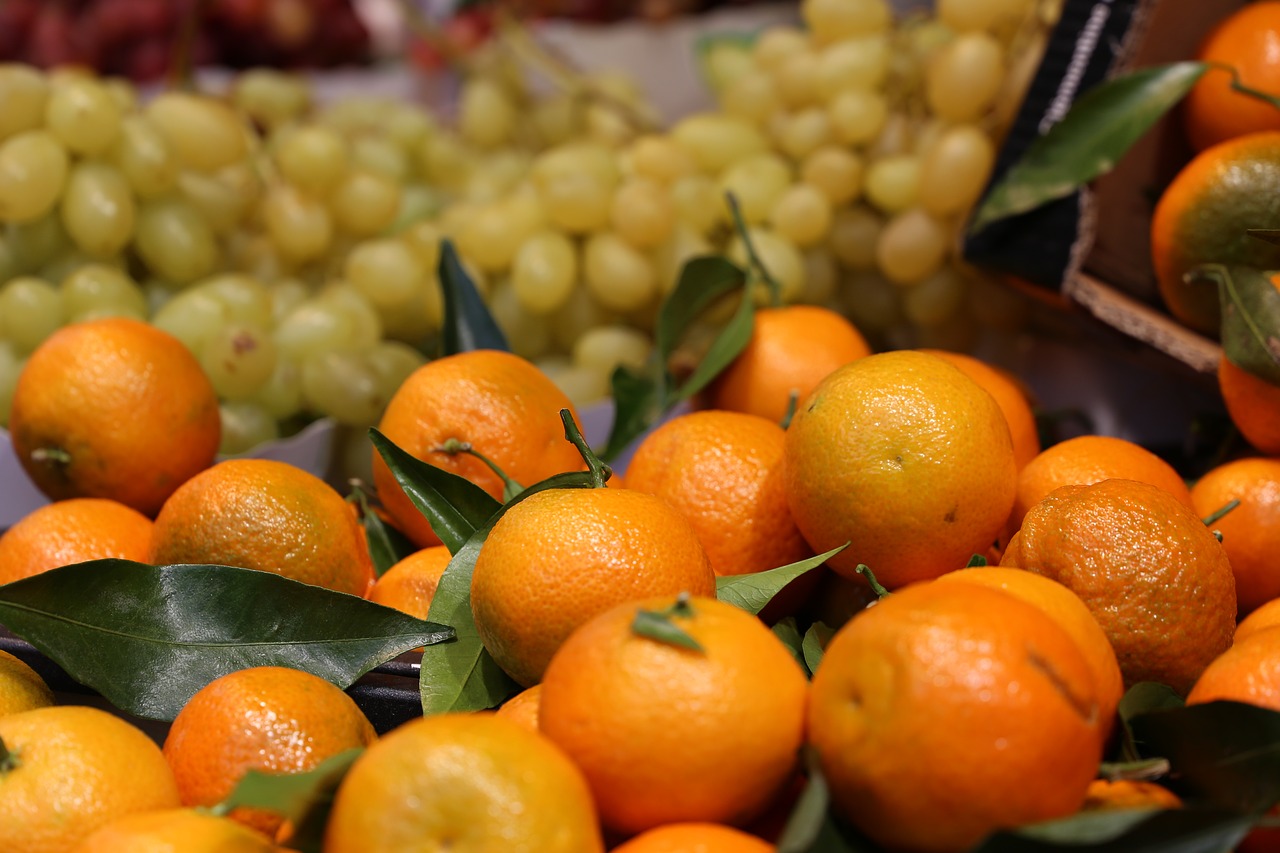 clementines clementine outside free photo