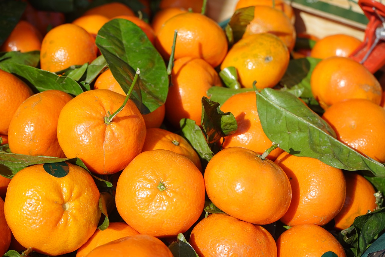 clementines fruit vitamins free photo
