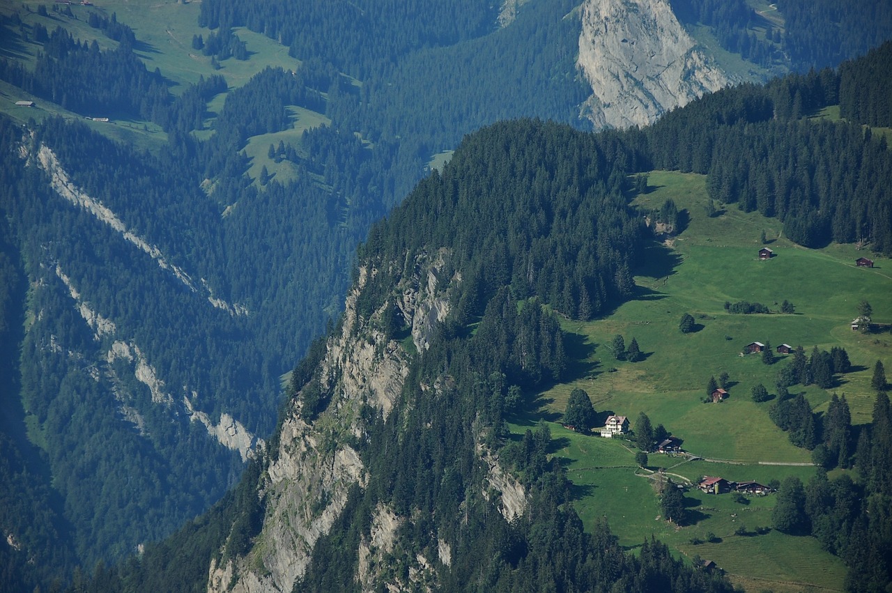 cliff trees aerial free photo