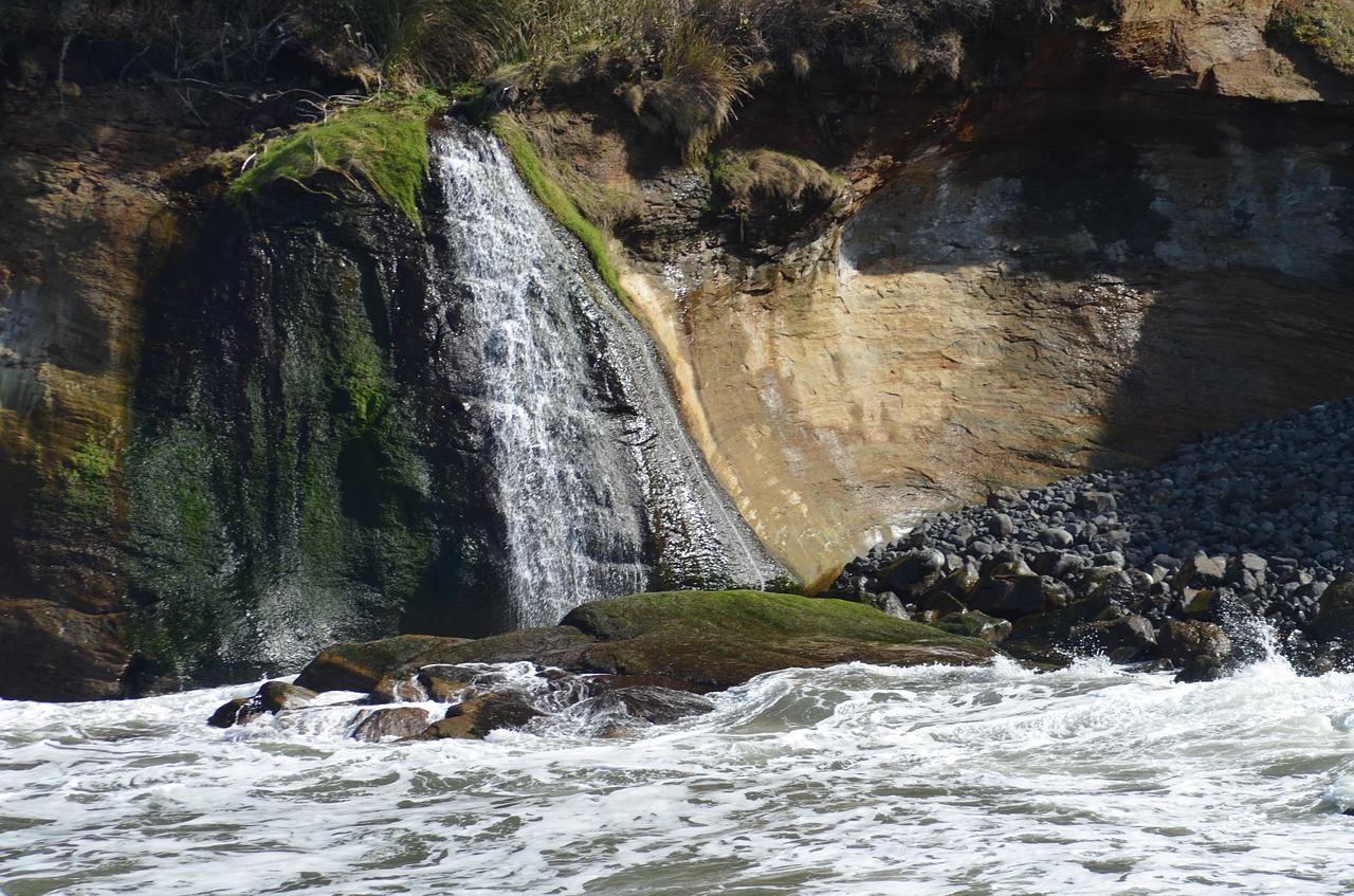 oregon coast oregon pacific ocean free photo