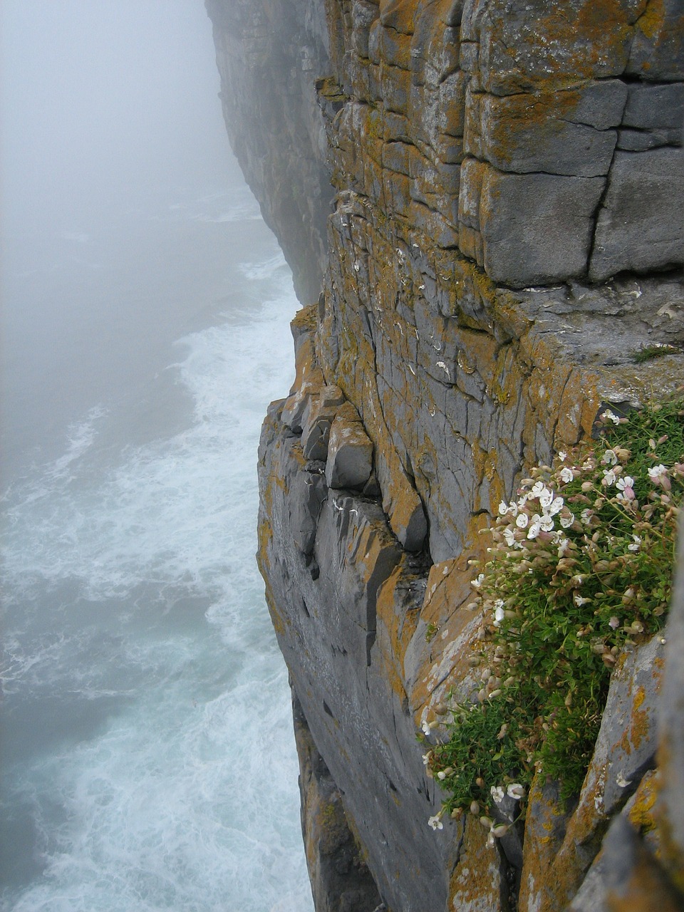 cliff ocean rockface free photo