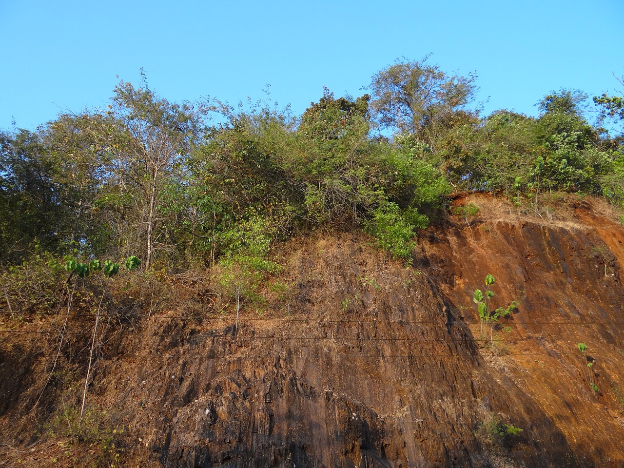 cliff trees sky free photo