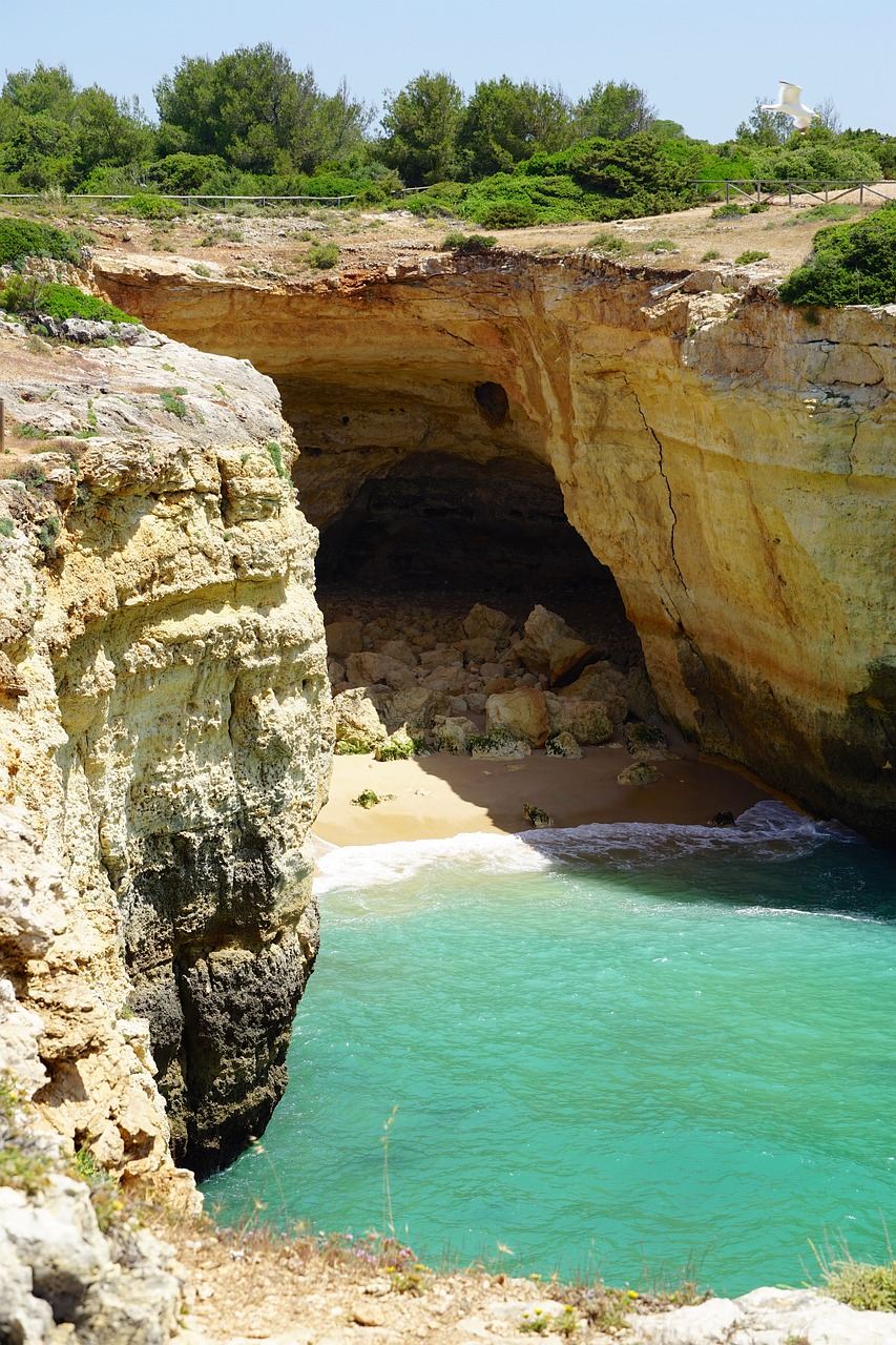 cliff  beach  nature free photo