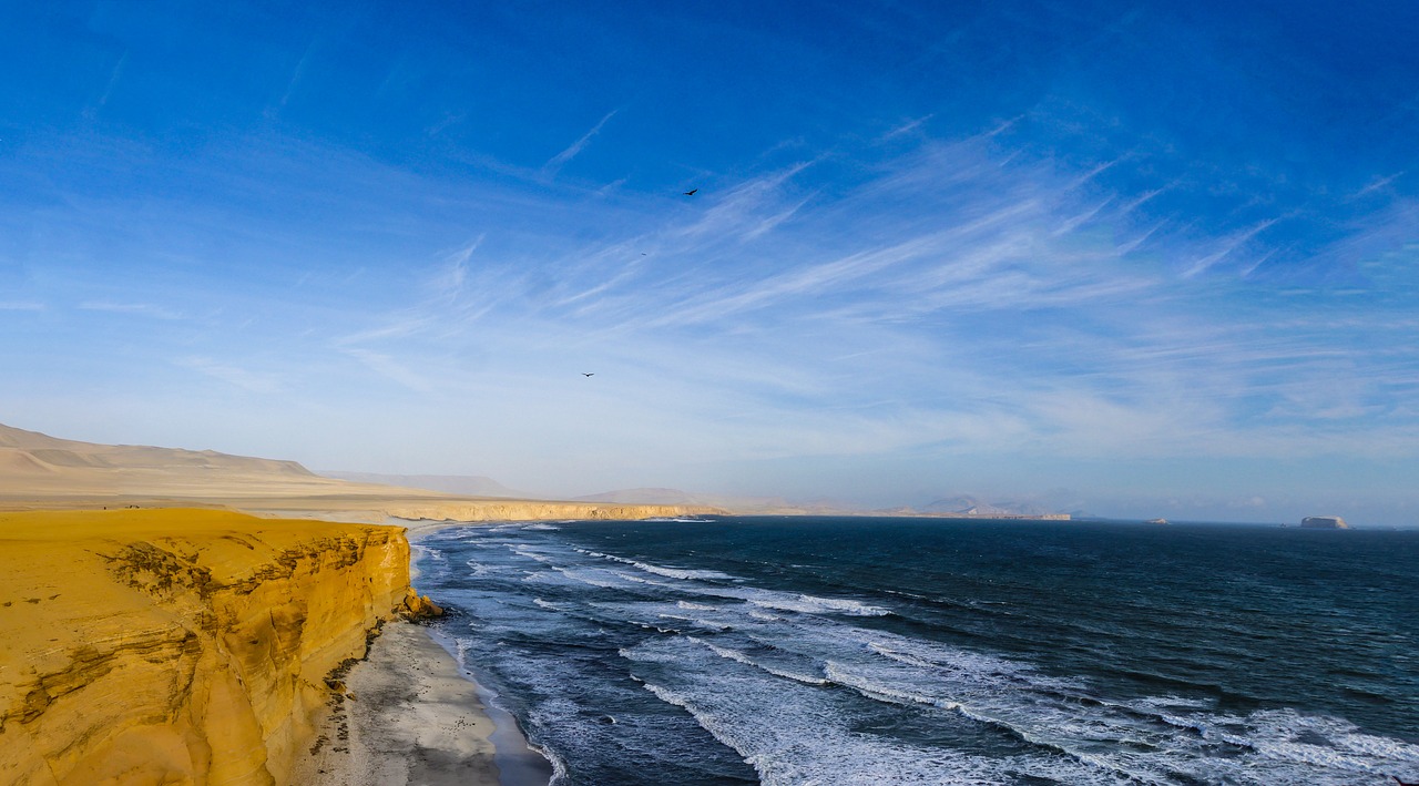 cliff  pacific  surf free photo