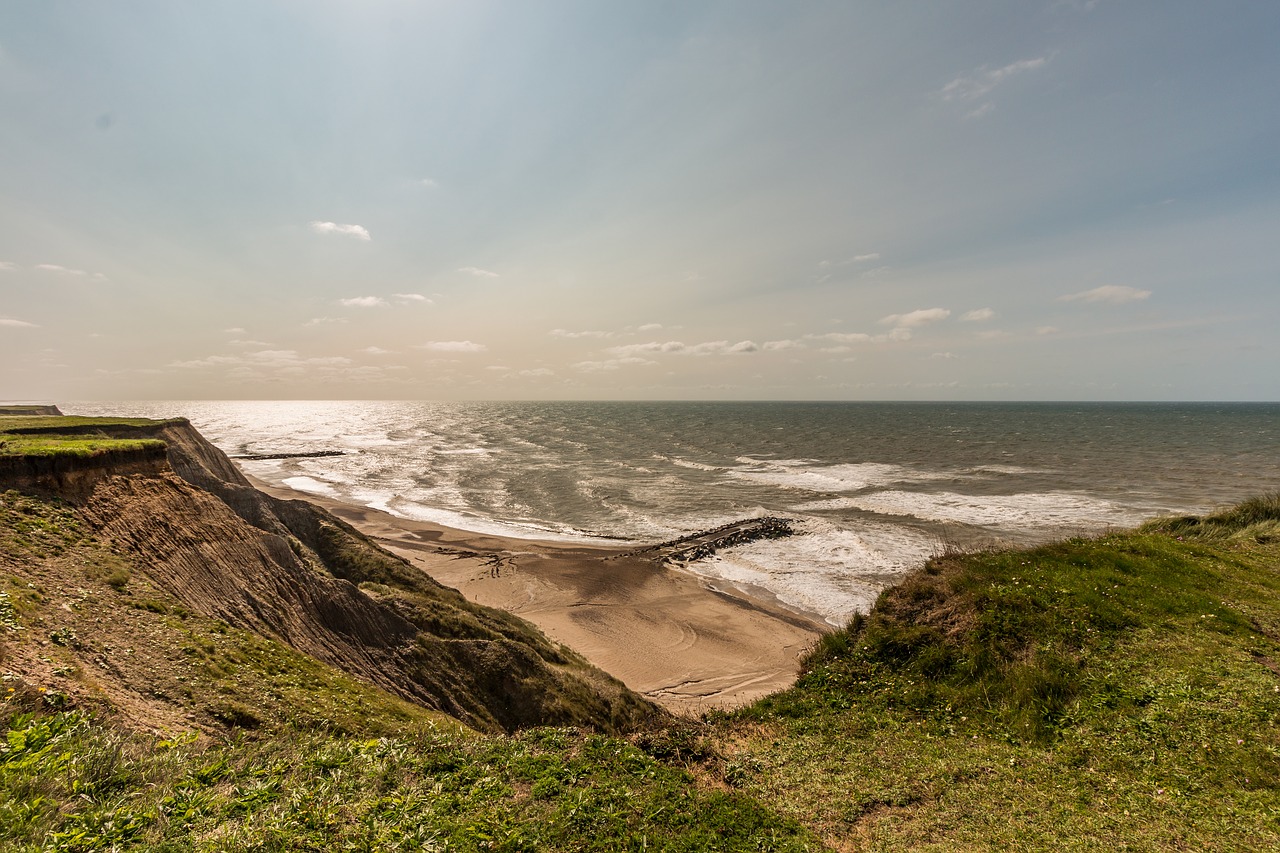 cliff  sea  denmark free photo