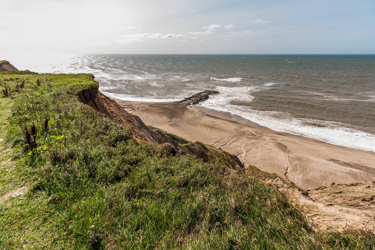 cliff  sea  denmark free photo