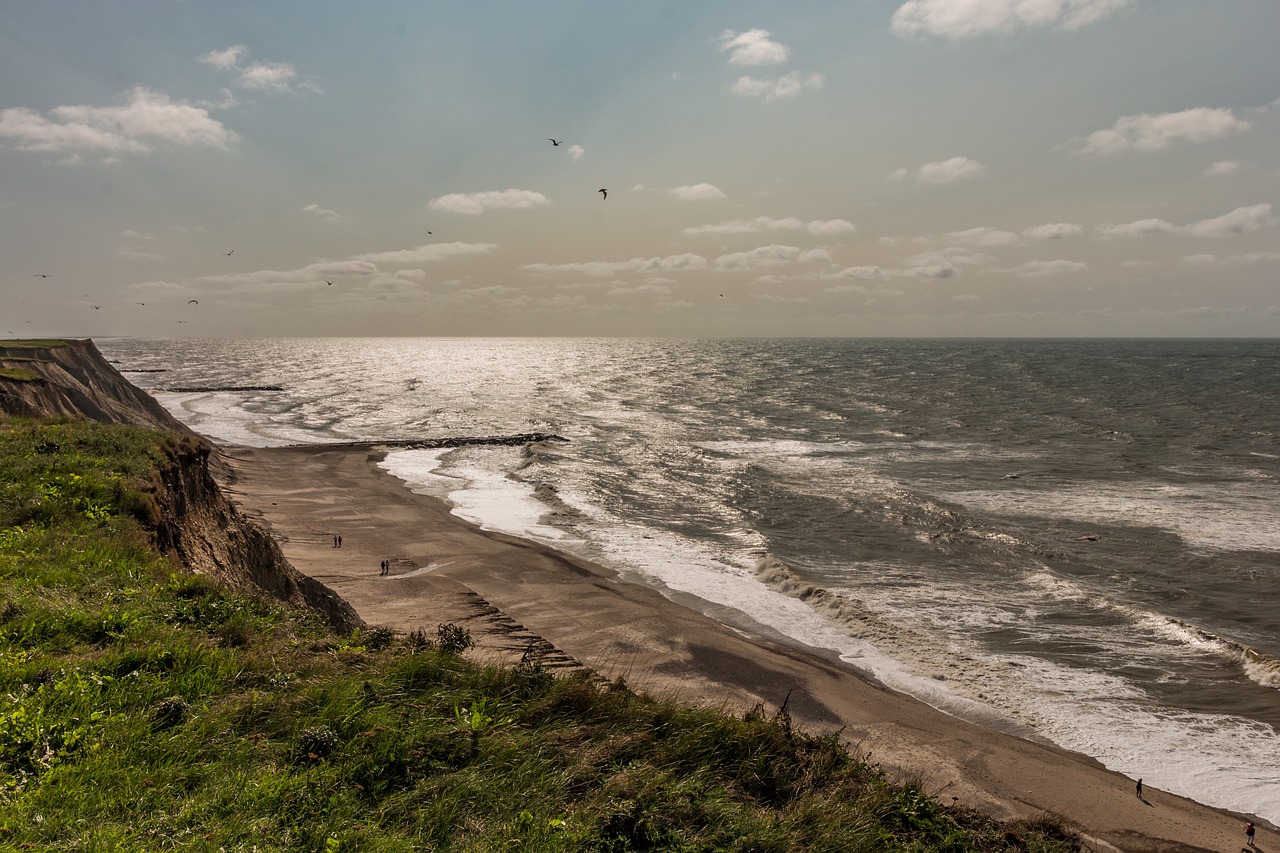 cliff  sea  denmark free photo