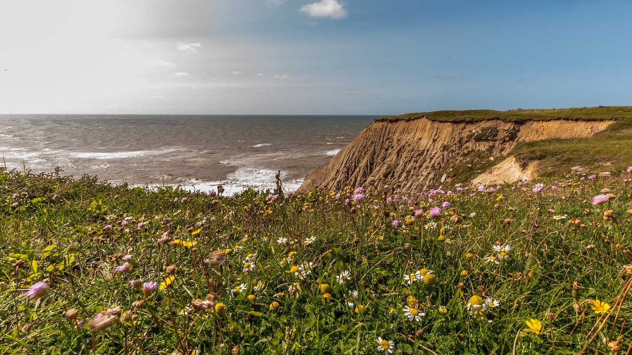 cliff  sea  denmark free photo