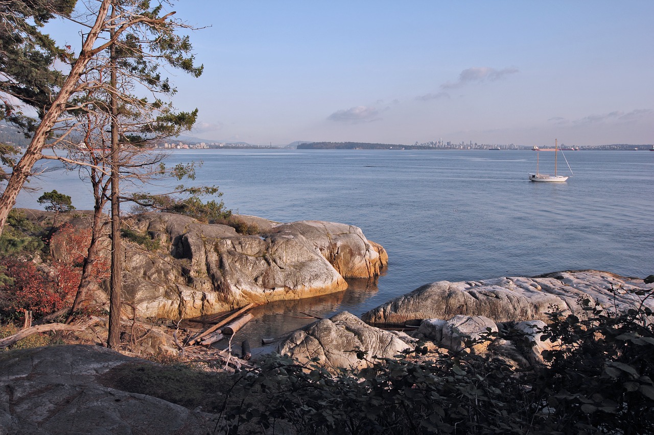 cliff  beach  ocean free photo