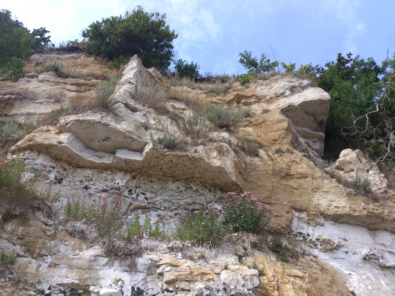 cliff limestone structure free photo