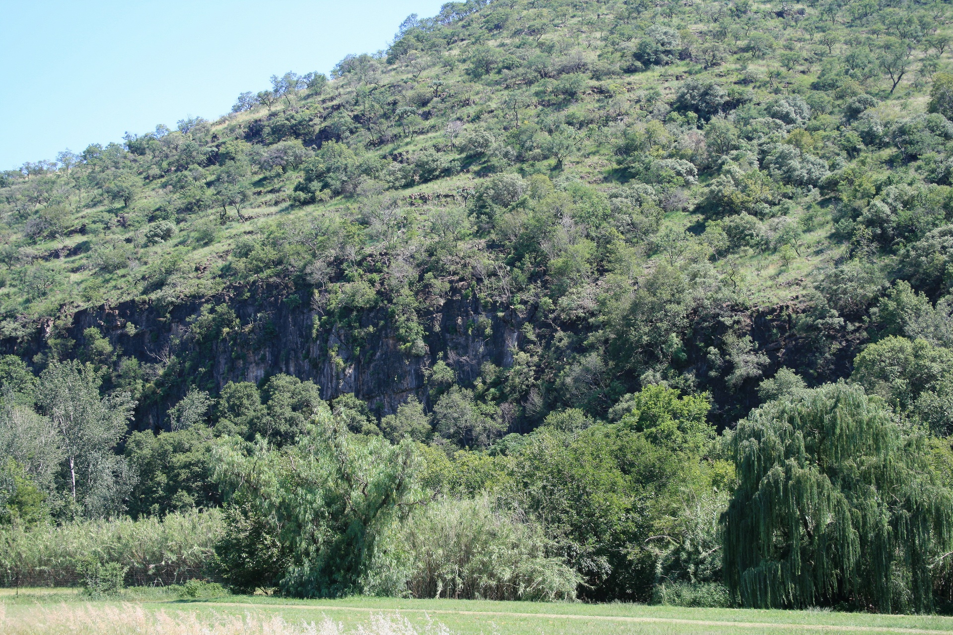 cliffs sheer rock free photo