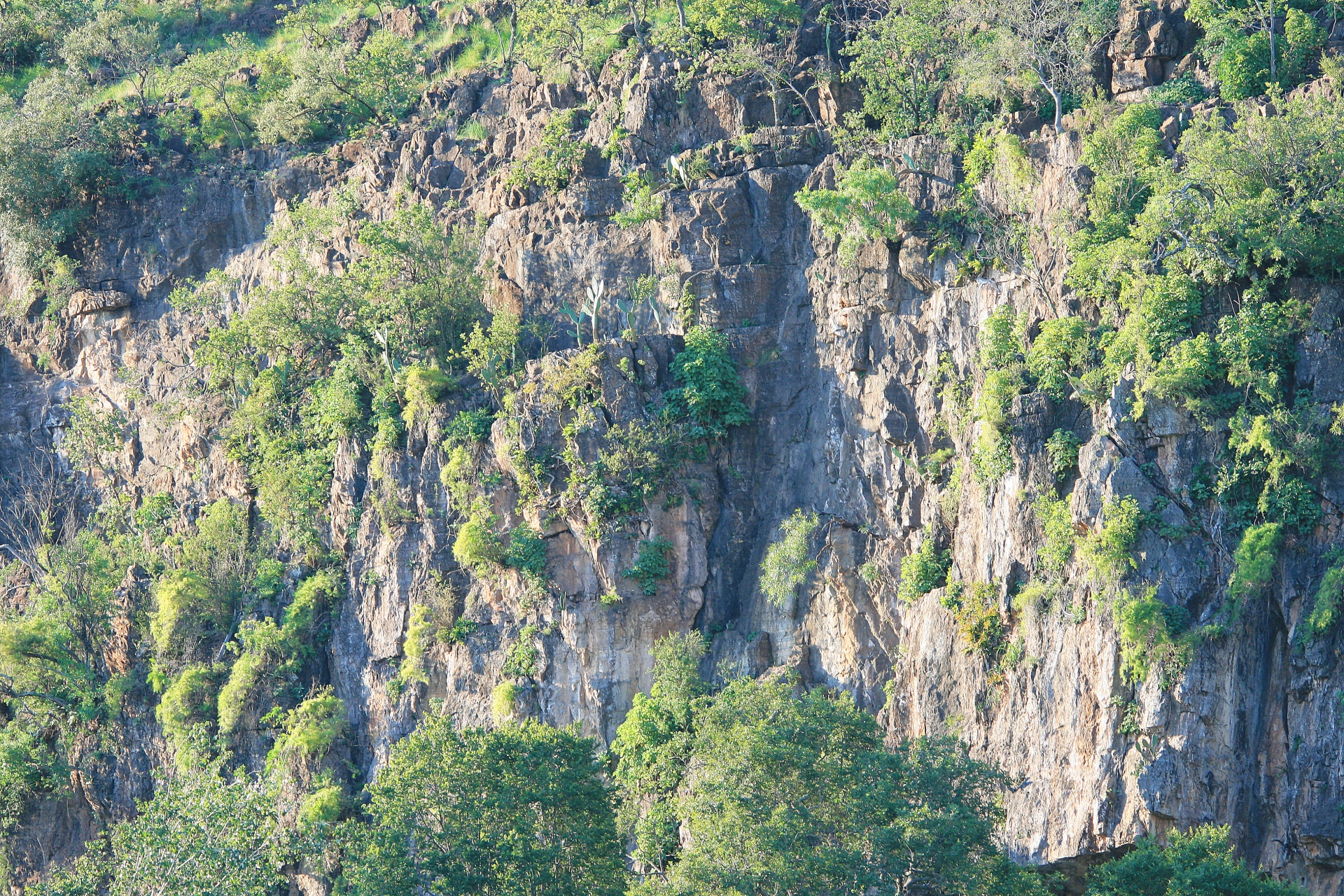 cliff sheer steep free photo