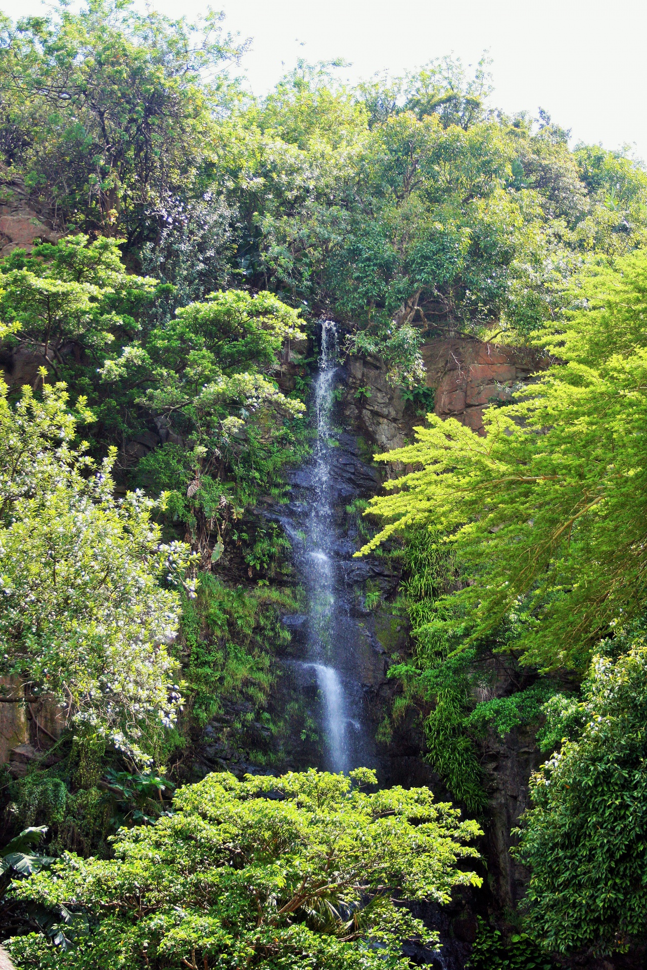 cliff waterfall sheer free photo