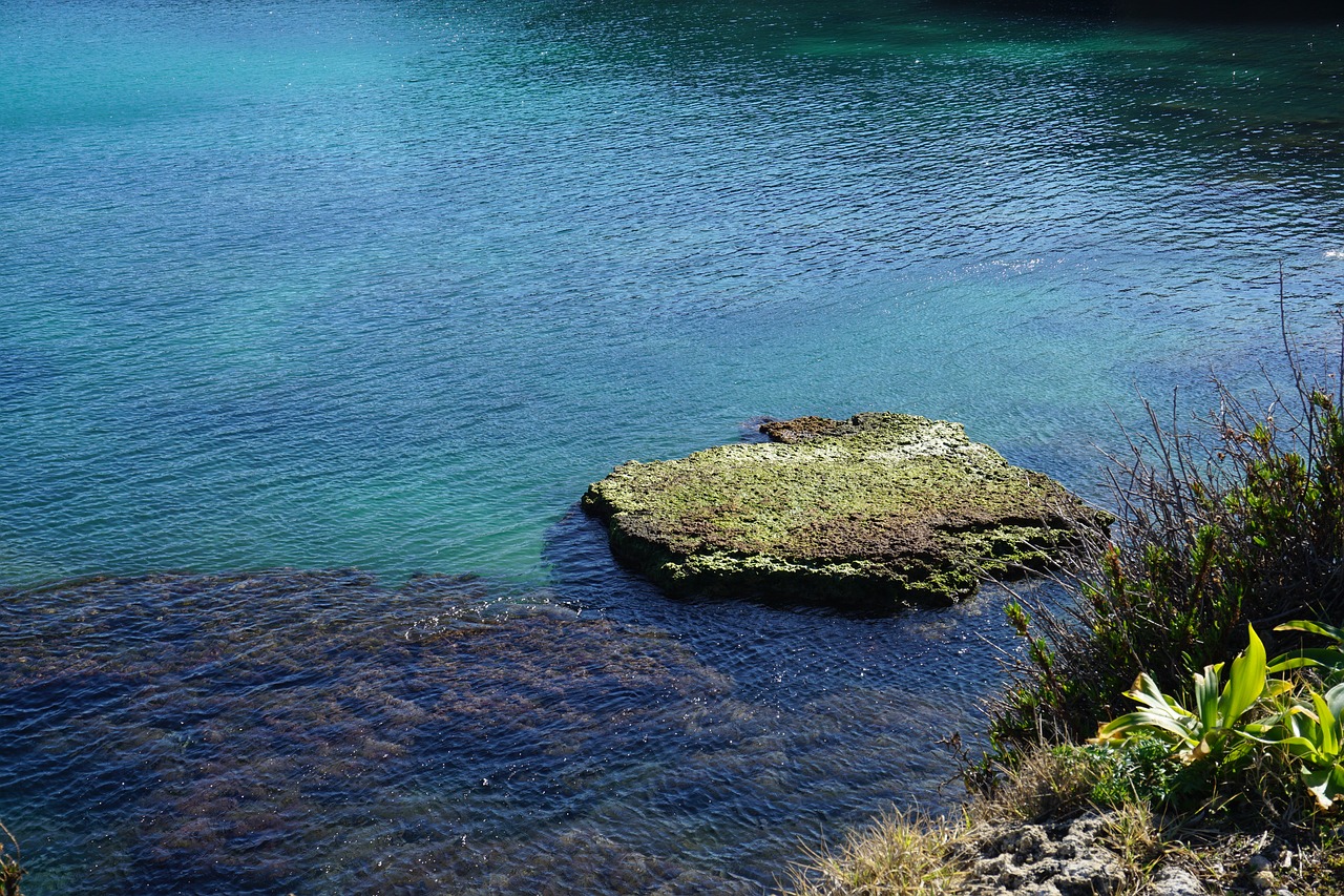 cliffs  water  nature free photo