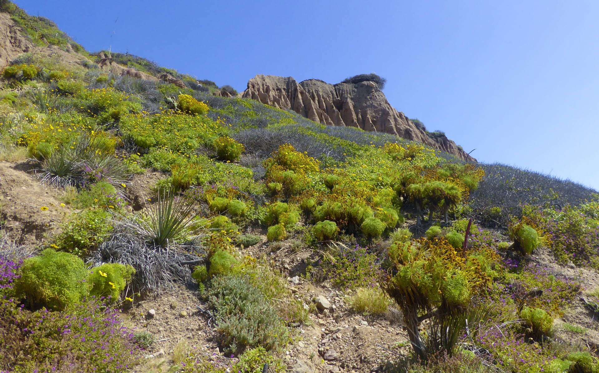 mountain cliff looking up free photo