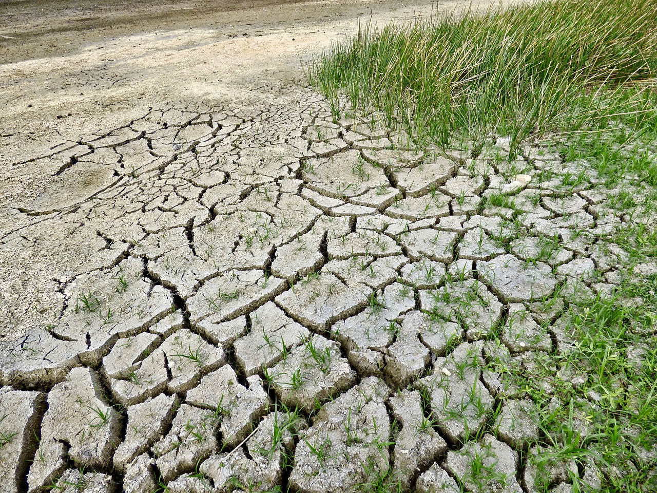 climate change drought climate free photo