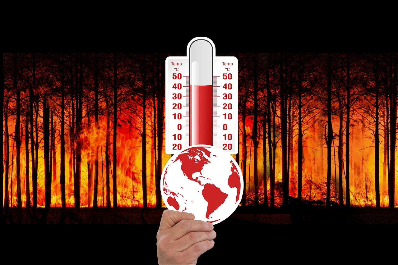 climate change  thermometer  forest fire free photo