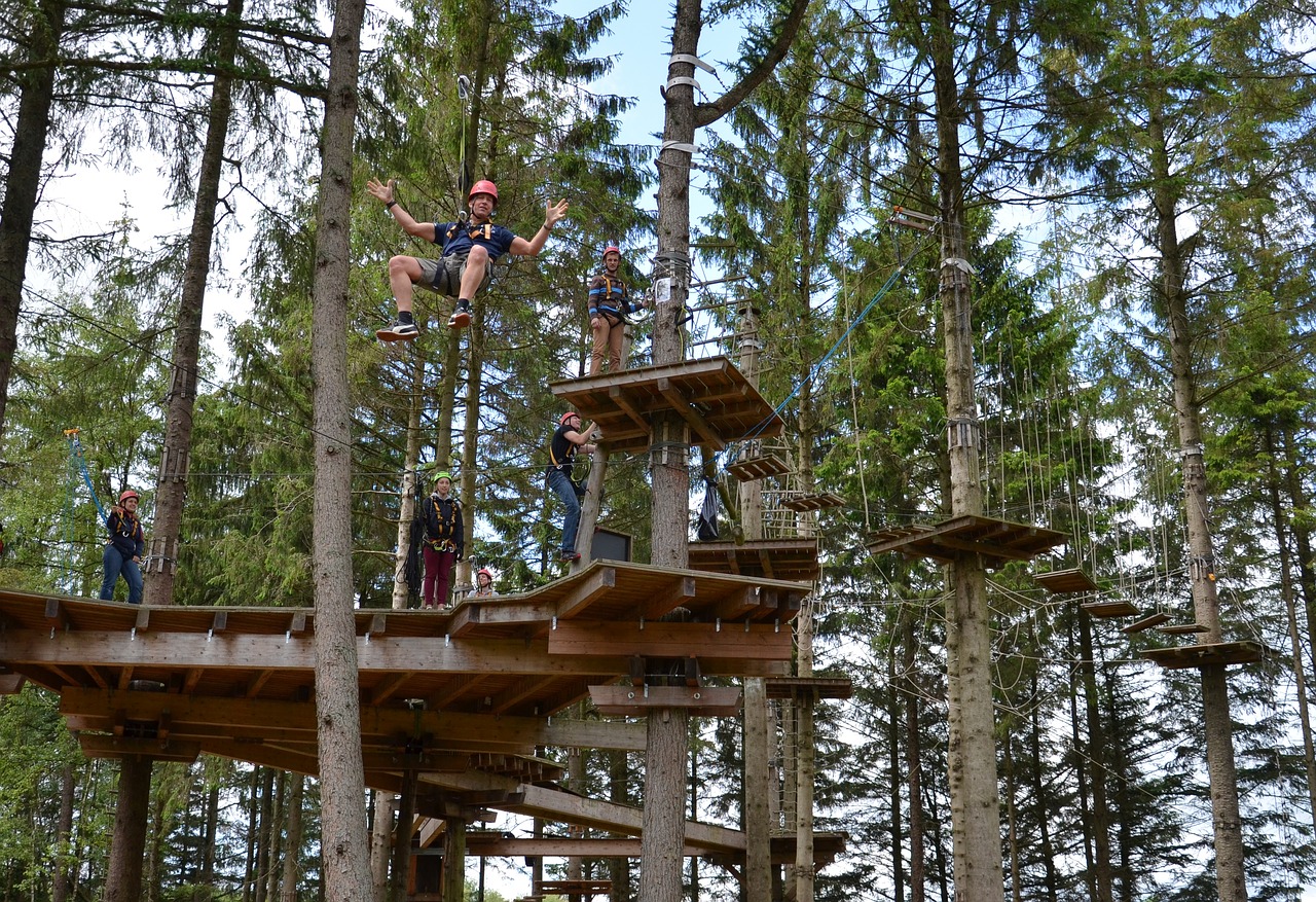 climb climbing forest high ropes course free photo