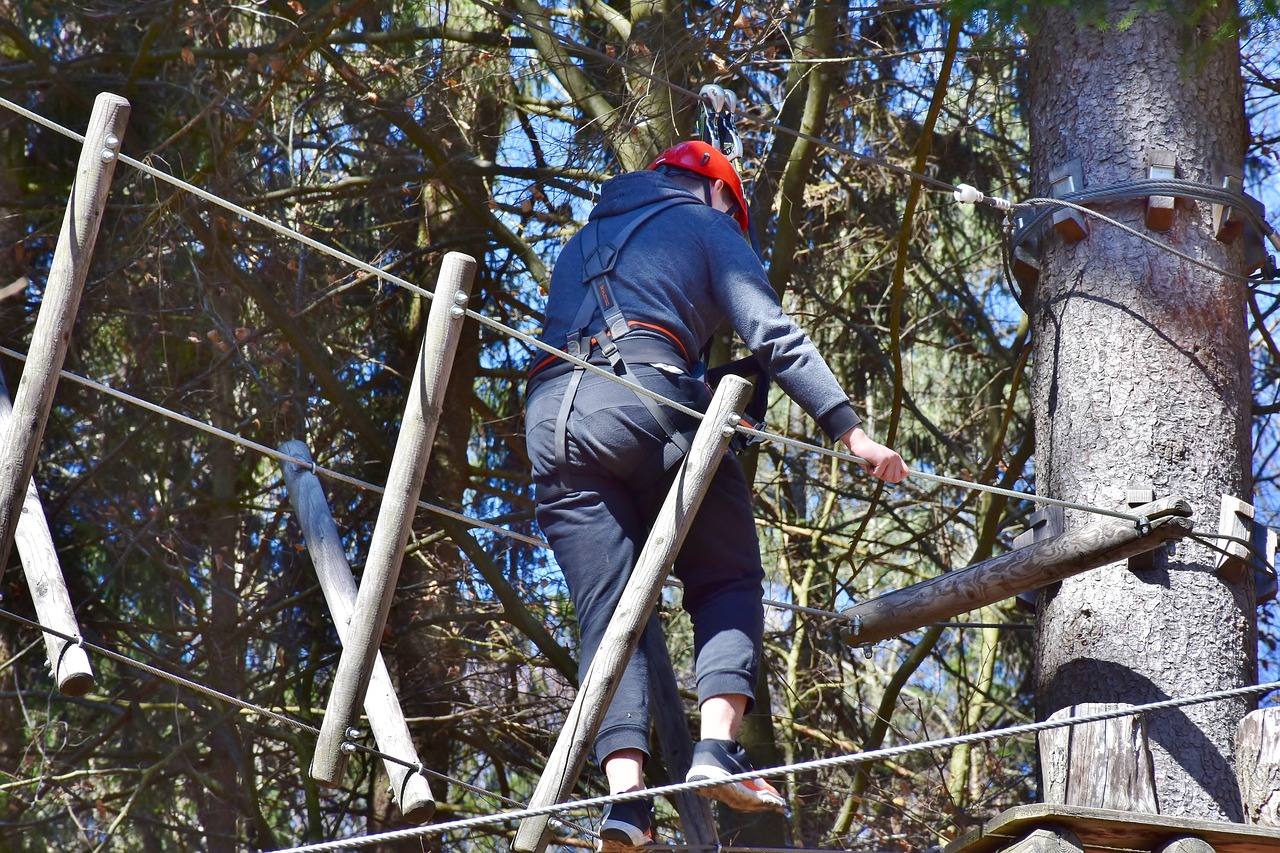 climb high ropes course climbing garden free photo