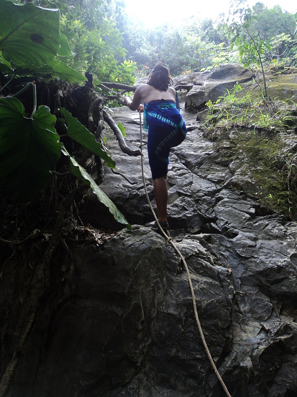 climb tropical woman free photo