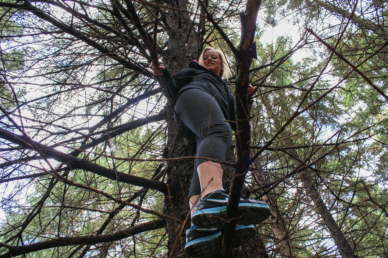 climb tree girl free photo