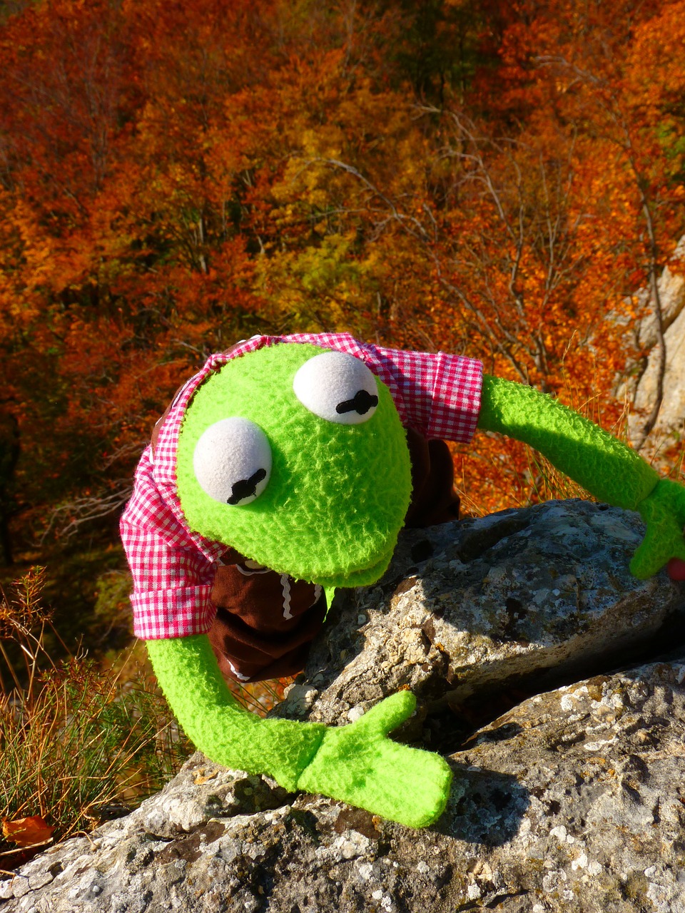 climb rock kermit free photo