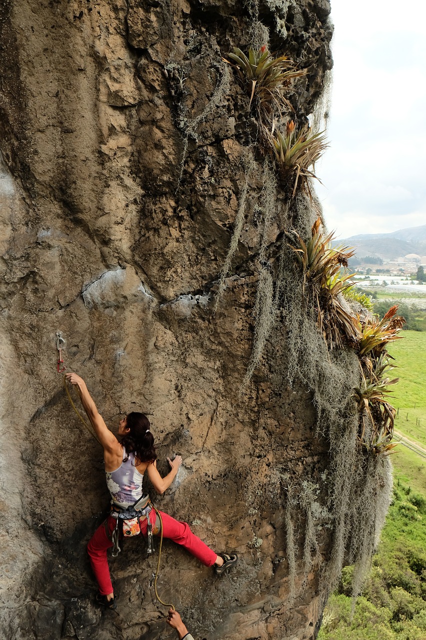 climber rock climb free photo