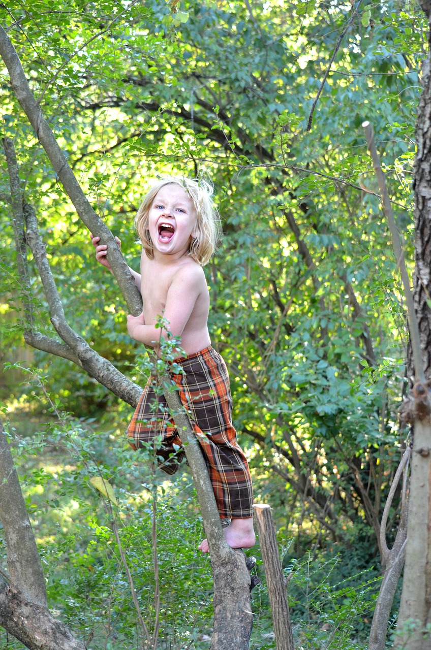 climbing kid tree free photo