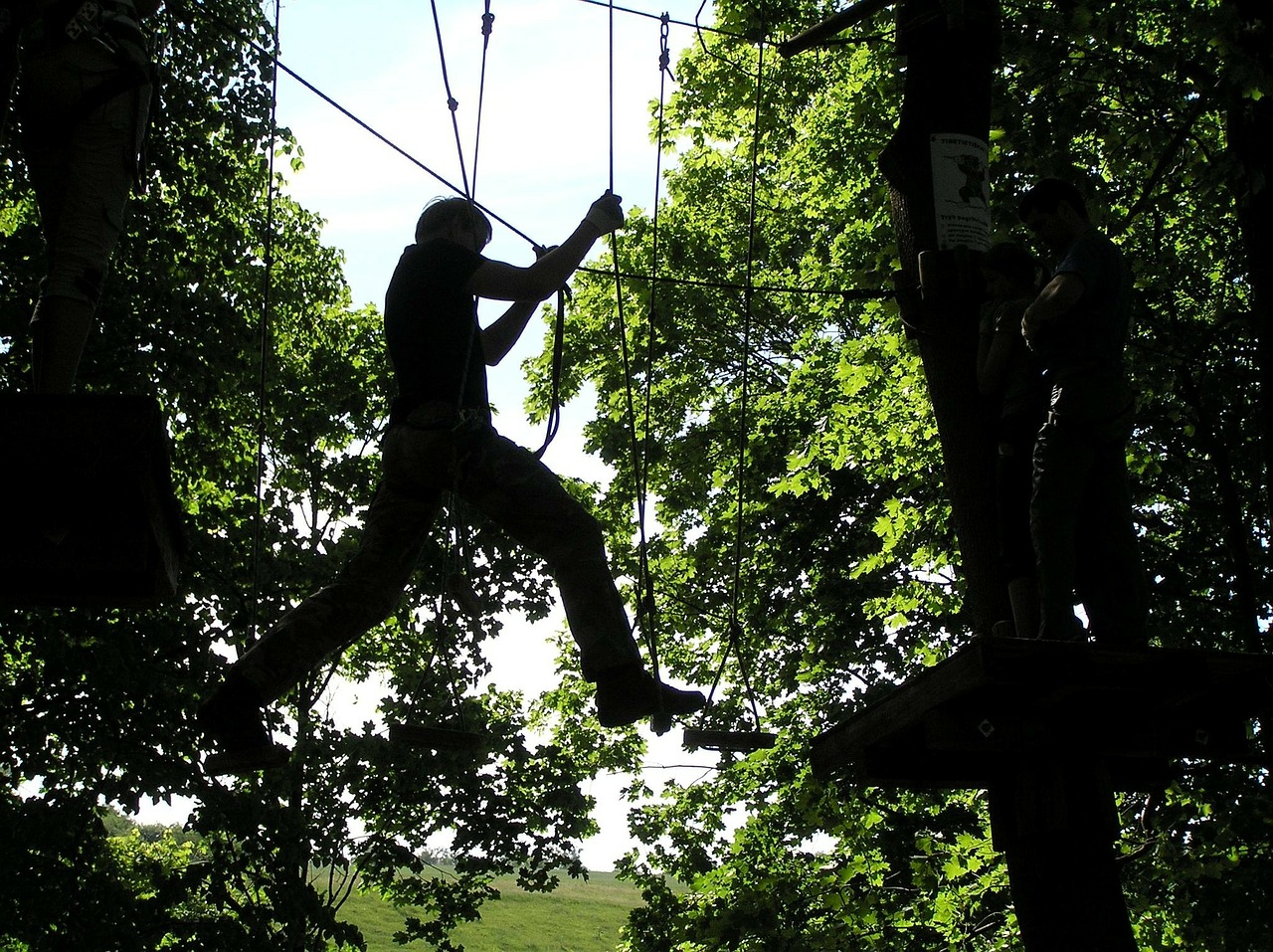 climbing trees extreme free photo