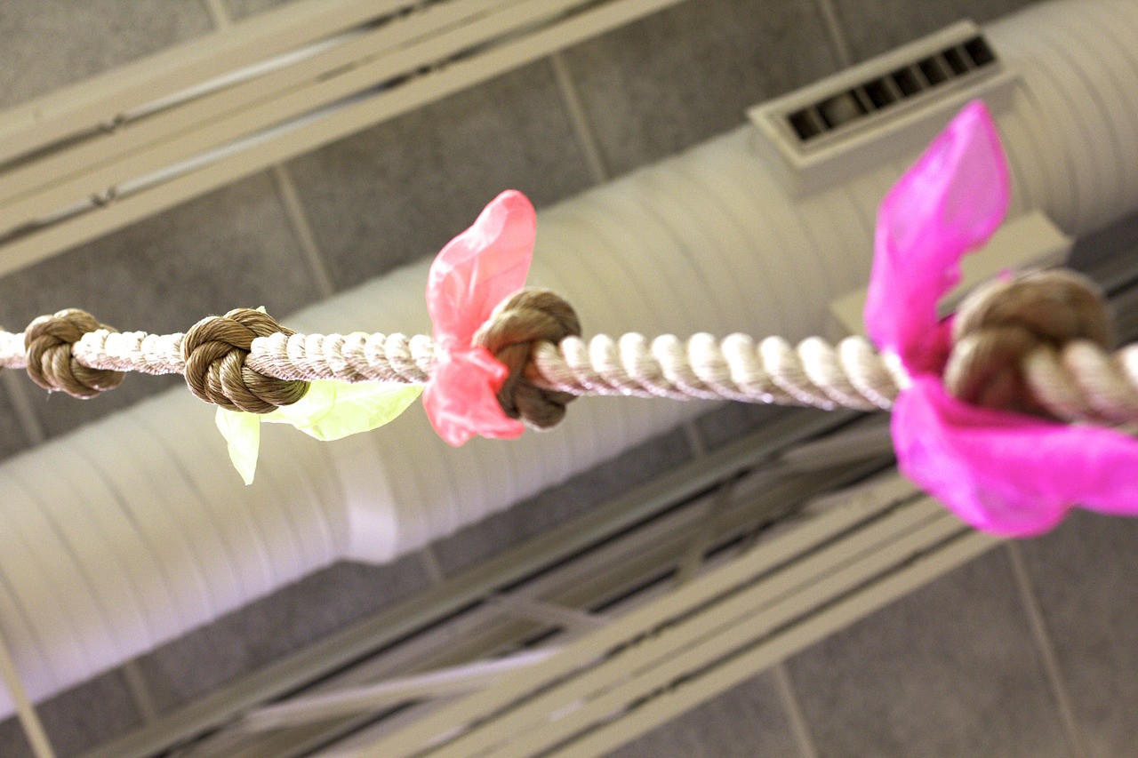 climbing rope gym free photo