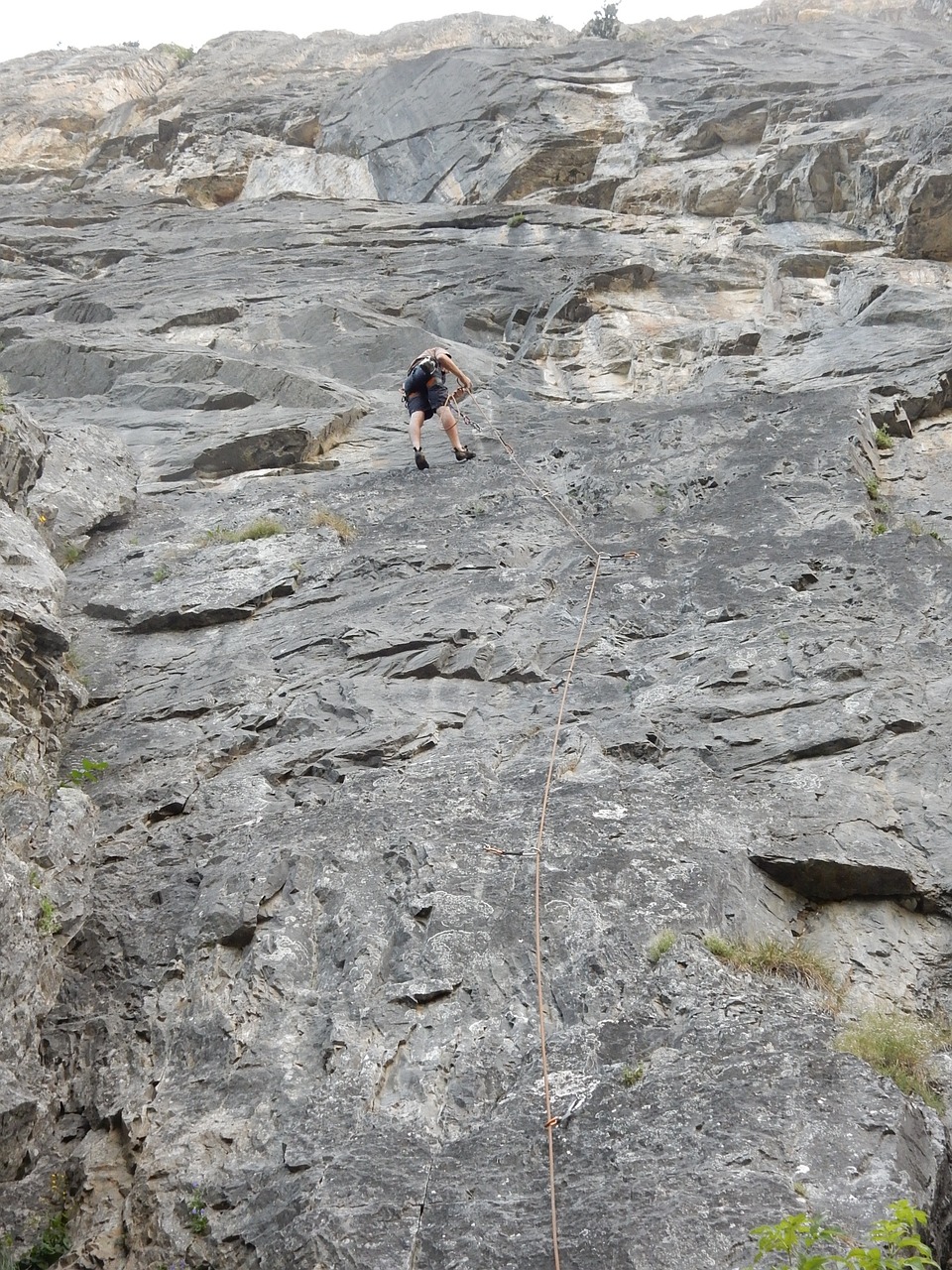 climbing rock climbing wall free photo