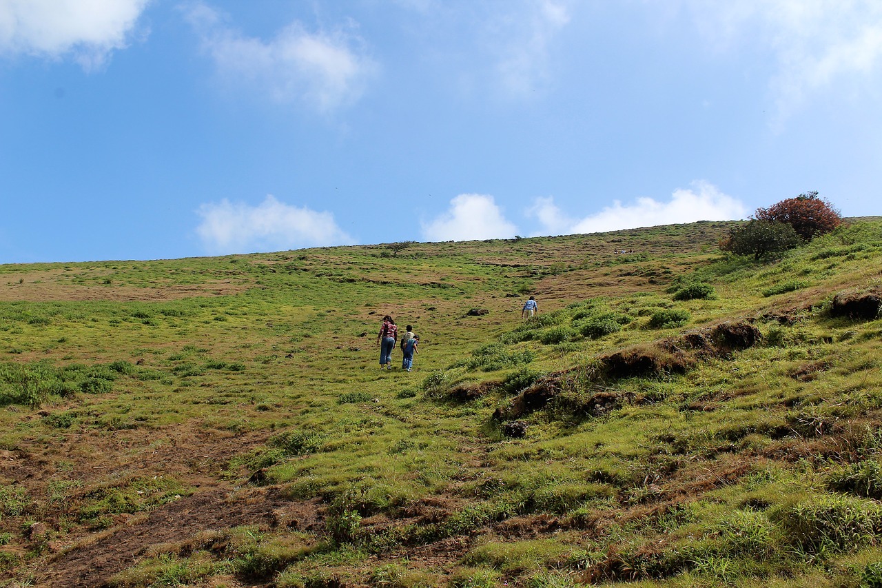 climbing hill blue green free photo