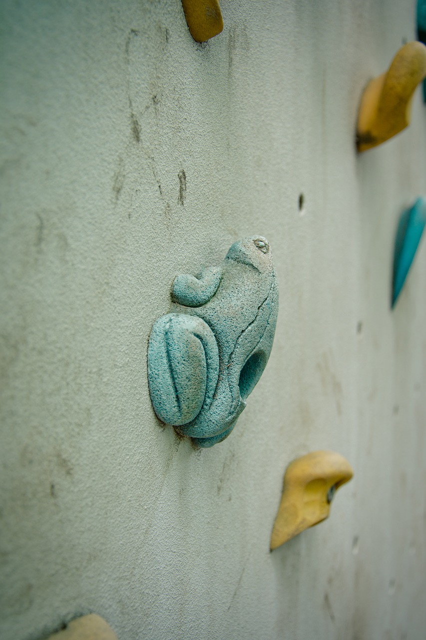 climbing wall frog grab bar free photo