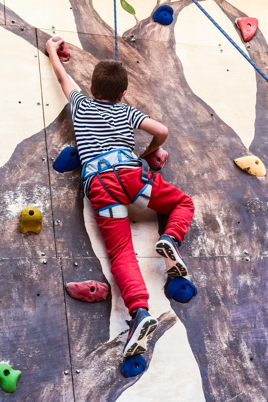 Download free photo of Climbing wall,climb,climbing,sport,active - from ...