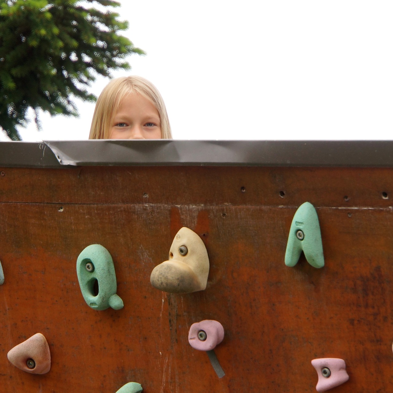 climbing wall child at the top free photo